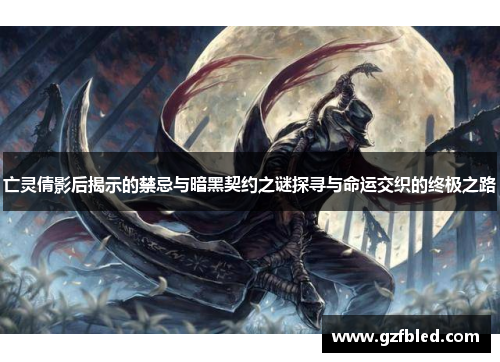 亡灵倩影后揭示的禁忌与暗黑契约之谜探寻与命运交织的终极之路