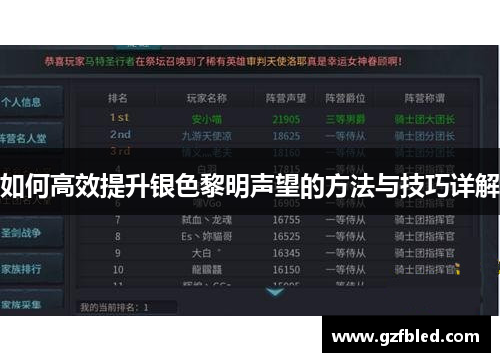 如何高效提升银色黎明声望的方法与技巧详解